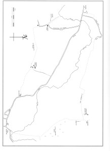 Walk 8 Map